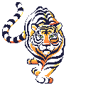 Wilson Tigers